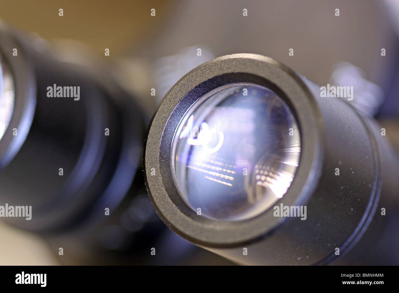 Microscopio binoculare close up oculare Foto Stock