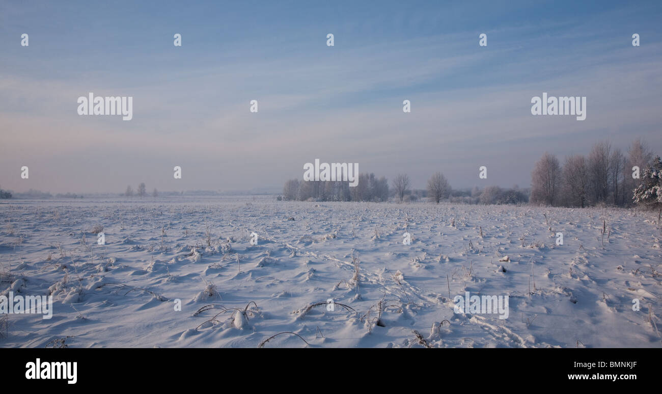 Coperta di neve campo nel sole solo dopo dicembre blizzard contro blu cielo nuvoloso con impronte crossing Foto Stock