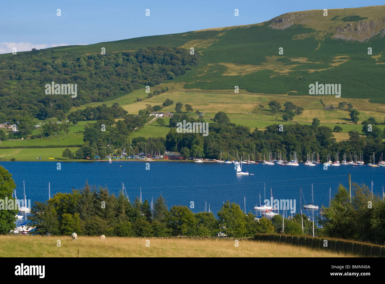 Regno Unito, Inghilterra, Cumbria, Ullswater Foto Stock