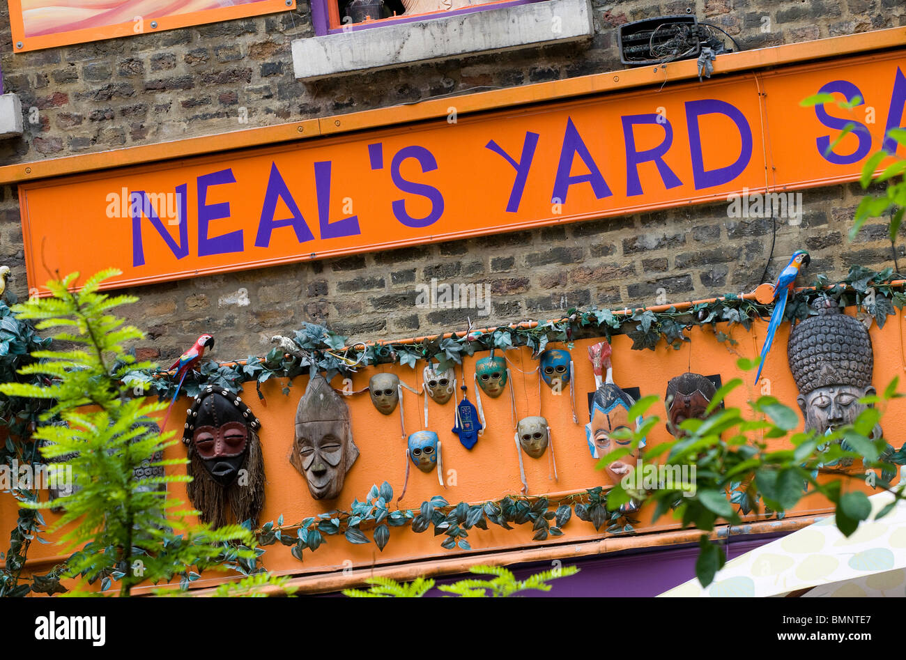 Neal's Yard, Londra, Inghilterra Foto Stock