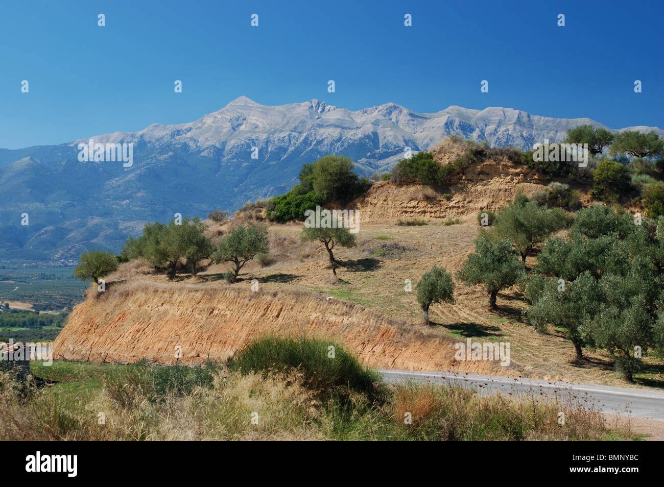 Vista del Monte Taigetos ridge vicino a Sparta, in Grecia Foto Stock