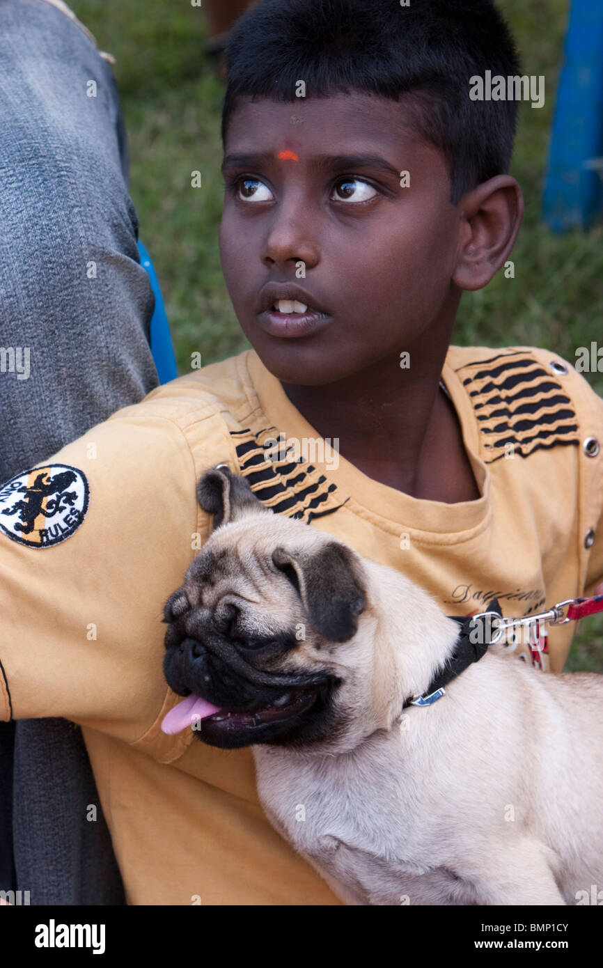 Un ragazzo con la American Lo-Sze Pug dog a dog show di Chennai, nello Stato del Tamil Nadu, India. Foto Stock