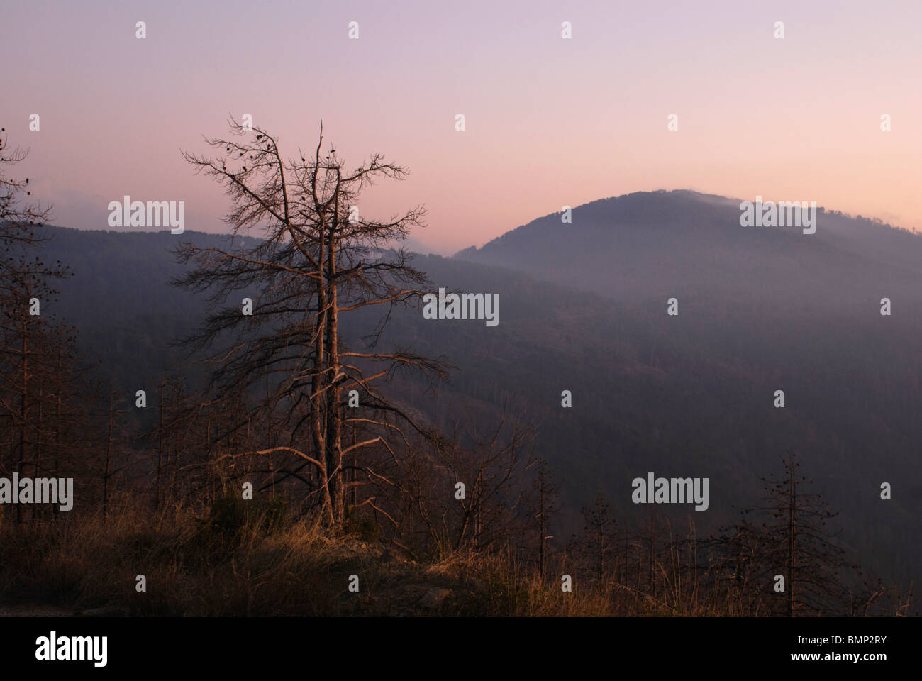 Crepuscolo presso Taigetos montagna cresta, Grecia Foto Stock