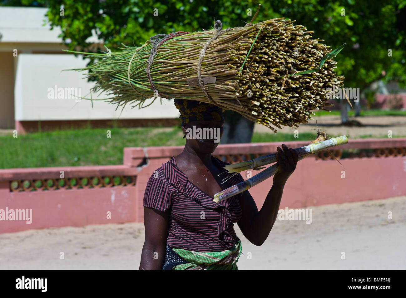 Le donne africane che trasportano e masticare di canna da zucchero dei pali in Tofo, Mozambico Foto Stock