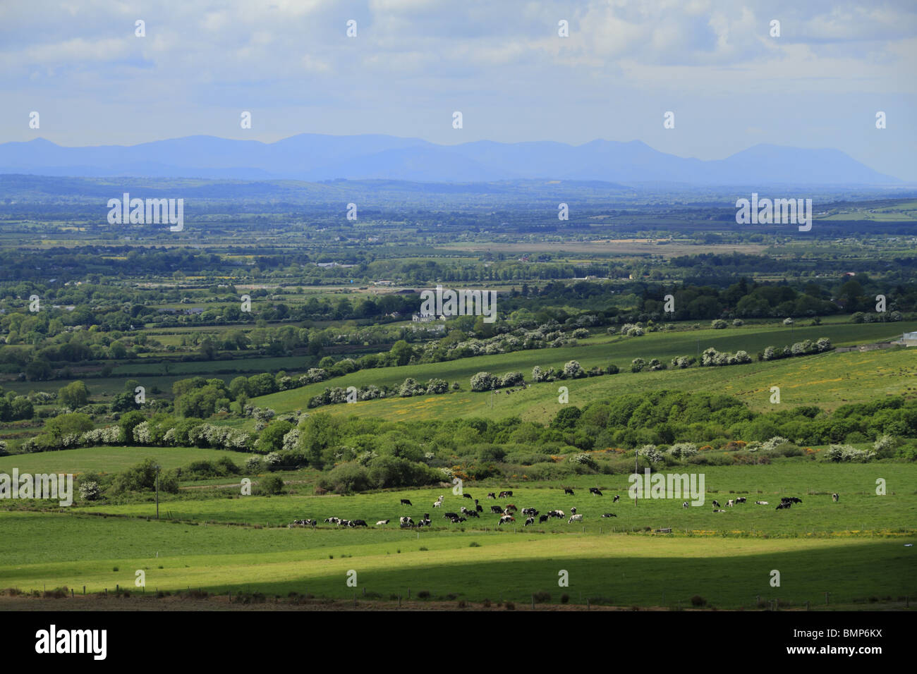 Guardando verso sud sulla città di Castleisland verso il Macgillycuddy Reeks, le montagne più alte in Irlanda, nella contea di Kerry. Foto Stock