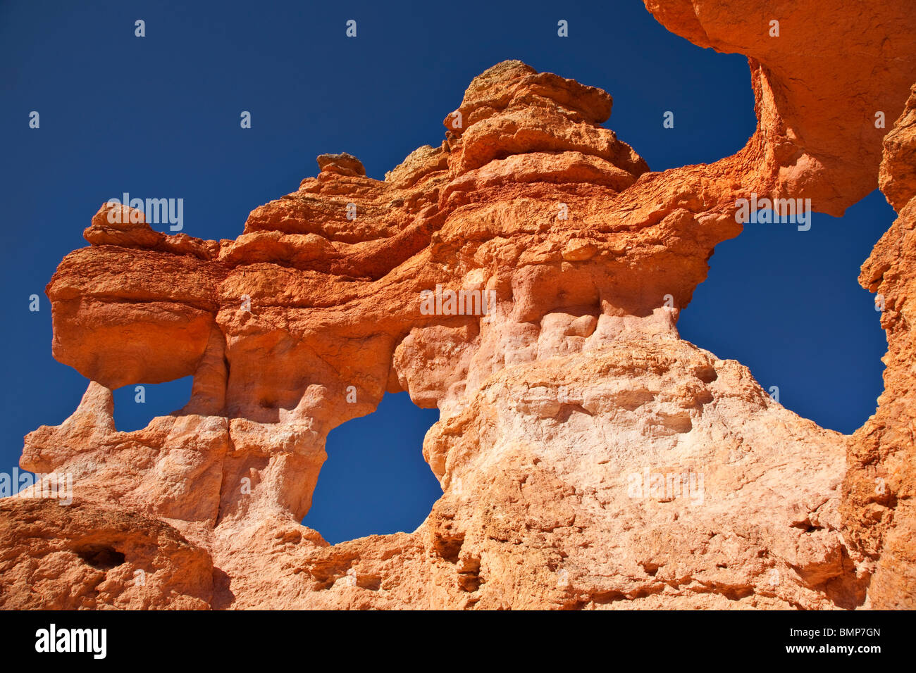 Hoodoos di eroso Claron formazione rocce al Parco Nazionale di Bryce Canyon, Utah, Stati Uniti d'America Foto Stock