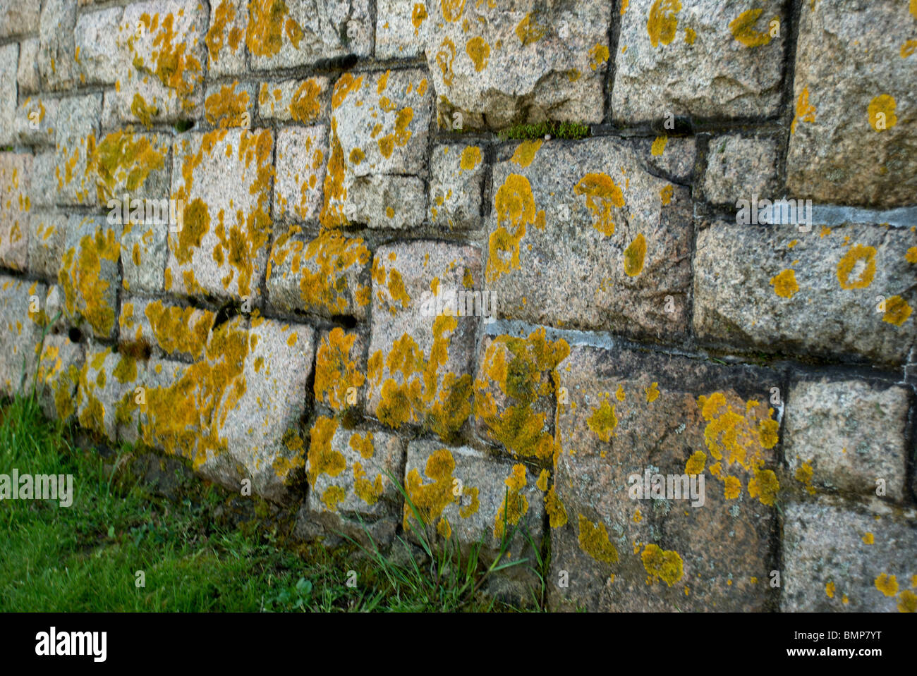 Vecchio muro di pietra Foto Stock