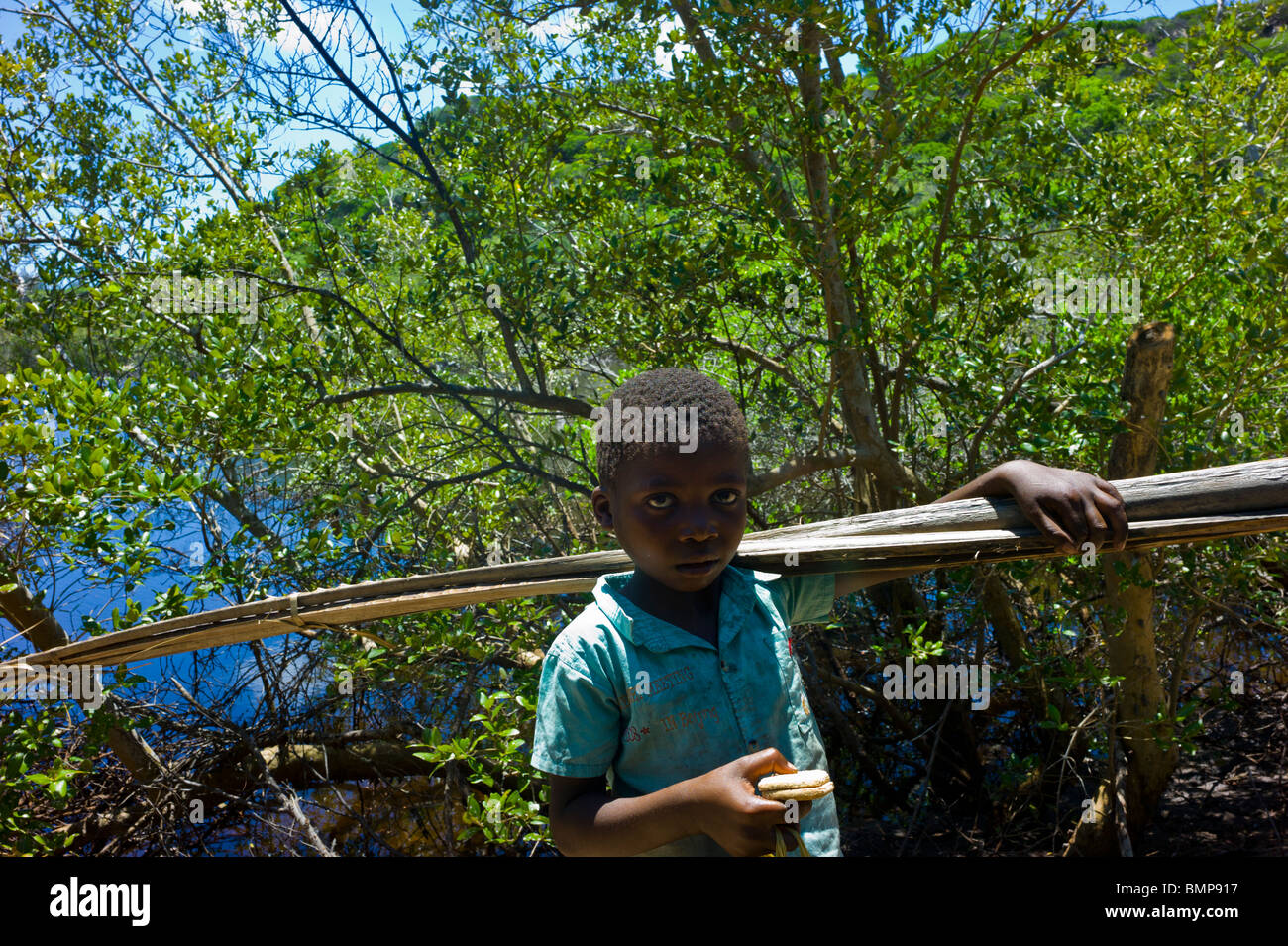 Un piccolo ragazzo che porta pali di legno in un piccolo villaggio vicino Pomene, Mozambico, Africa. Foto Stock