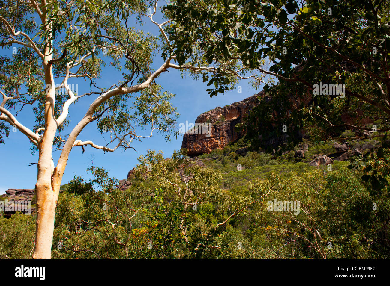 Il famoso scarpata di arenaria presso il Parco Nazionale Kakadu Territorio del Nord Australia. Foto Stock