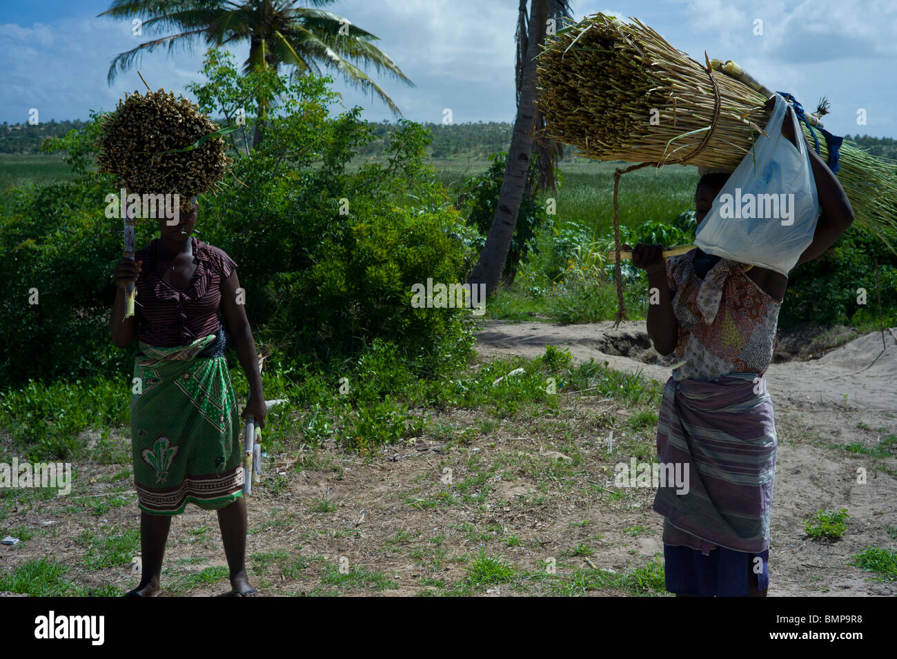 Le donne africane che trasportano e masticare di canna da zucchero dei pali in Tofo, Mozambico Foto Stock