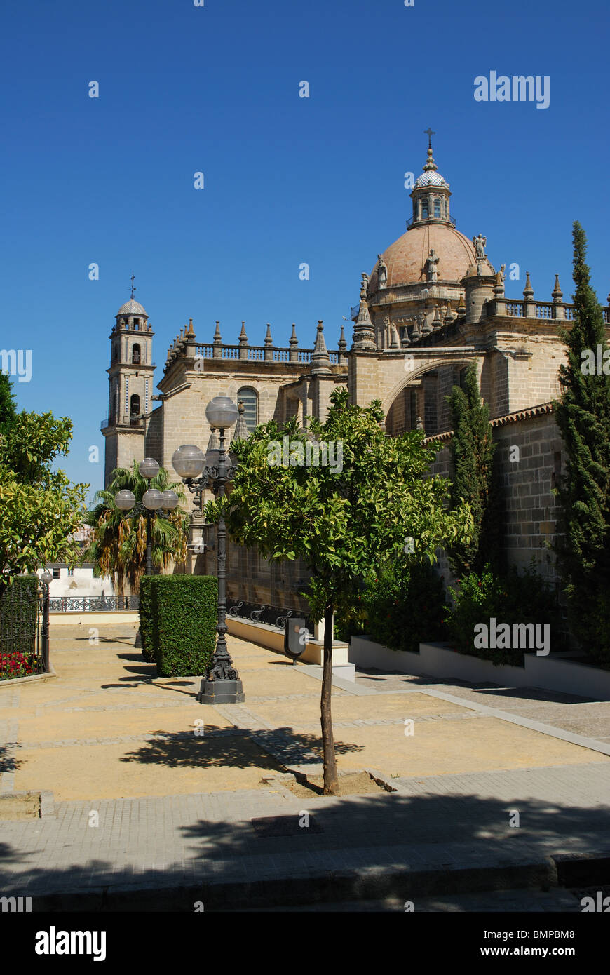 Cattedrale (Catedral San Salvador), Jerez de la Frontera, la provincia di Cadiz Cadice, Andalusia, Spagna, Europa occidentale. Foto Stock