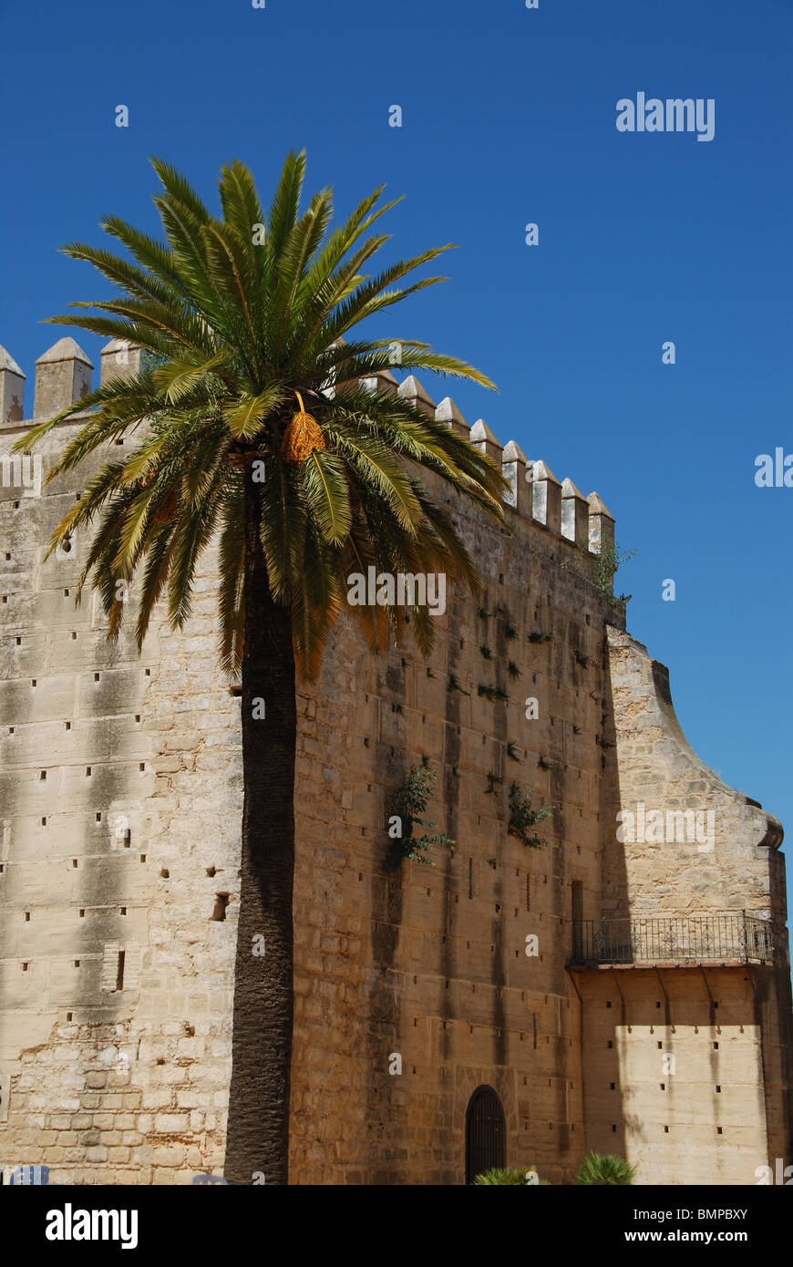 L omaggio Tower (Torre Homenaje), il Castello Alcazaba), Jerez de la Frontera, la provincia di Cadiz Cadice, Andalusia, Spagna, Europa occidentale. Foto Stock