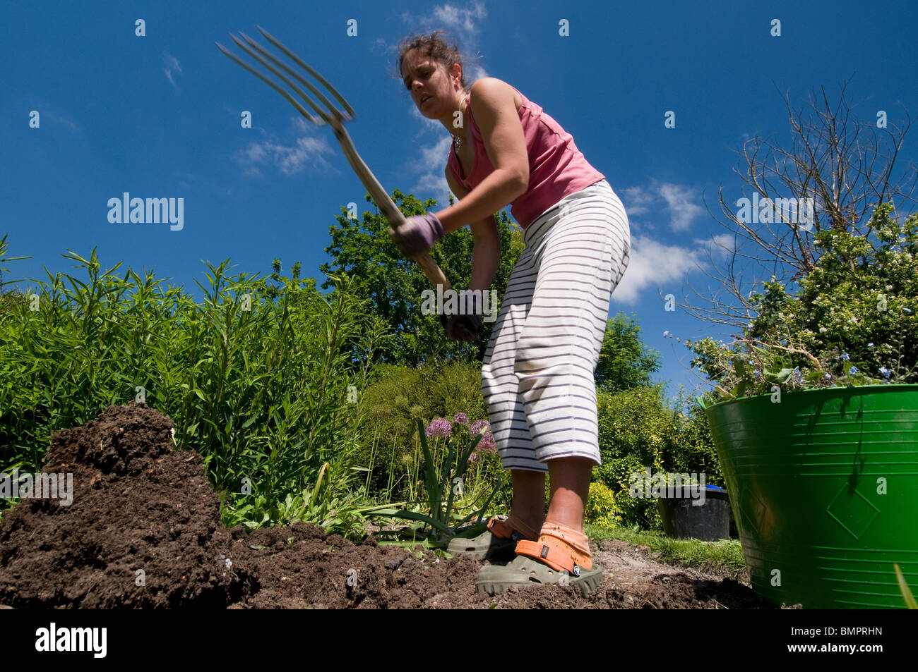 Il giardinaggio della donna su una giornata d'estate in Inghilterra Foto Stock