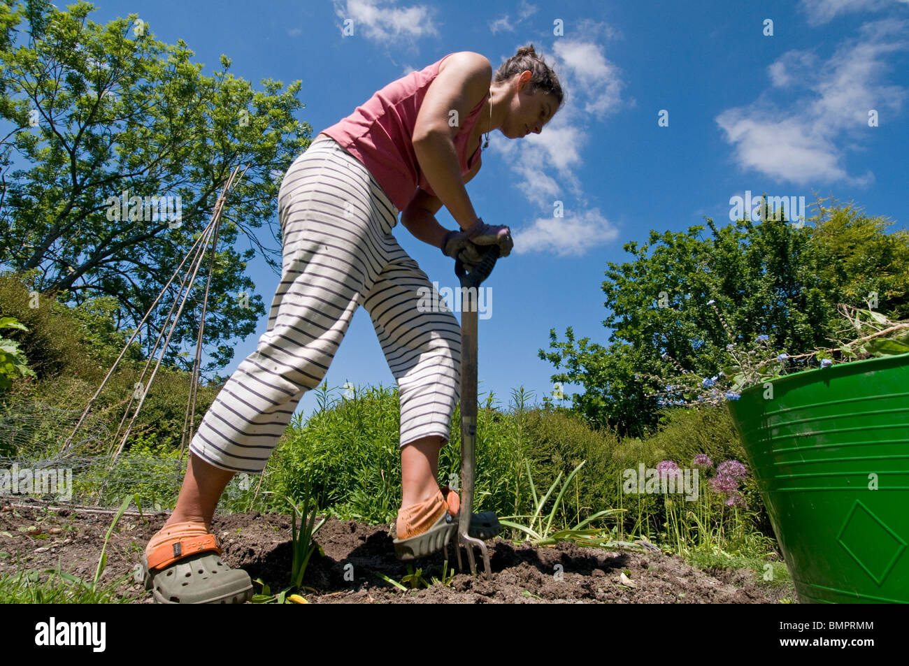 Il giardinaggio della donna su una giornata d'estate in Inghilterra Foto Stock