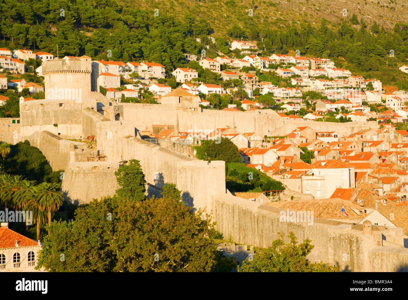 La città vecchia di Dubrovnik e la parete della città Foto Stock