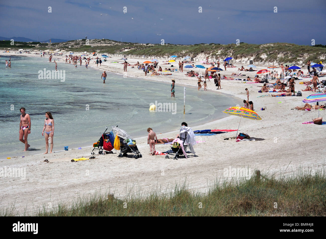 Vista della spiaggia, Platja de ses Illetes, Formentera, isole Baleari, Spagna Foto Stock