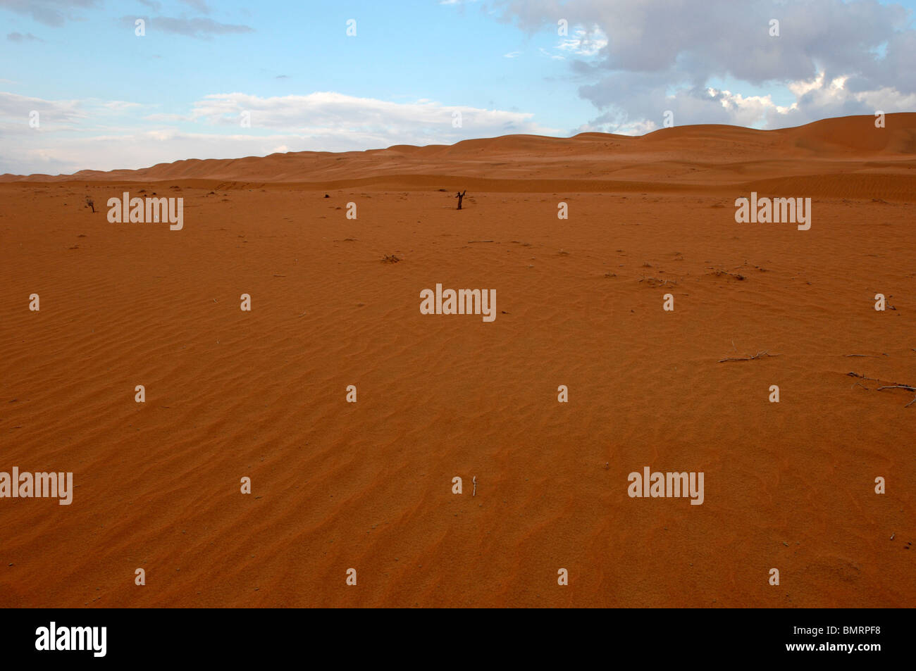 Oman Desert Foto Stock