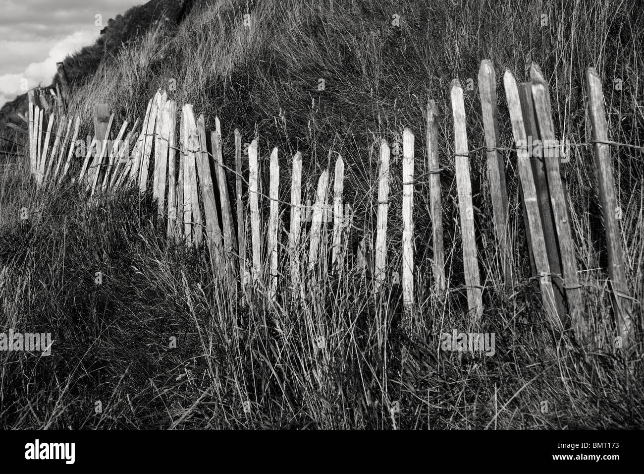 Recinzione in legno sulla collina della Scozia. In bianco e nero. Foto Stock