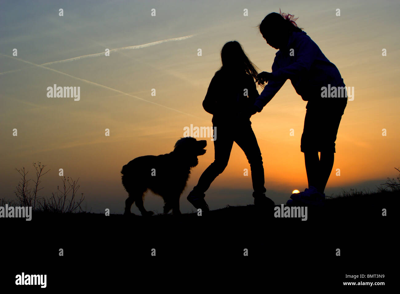 Giocare con il cane nel tramonto - silhouette Foto Stock