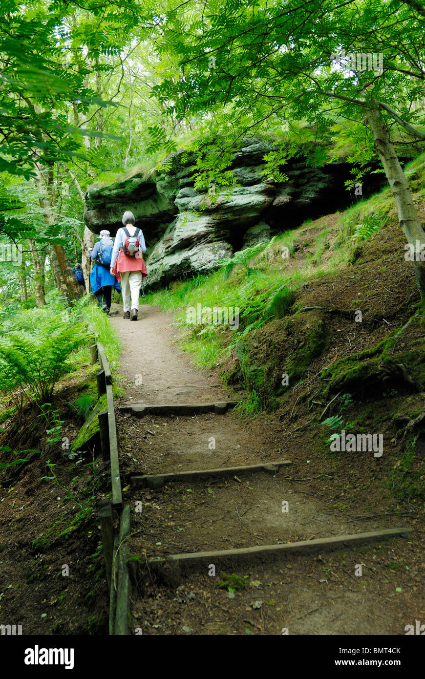 Walkers seguendo il sentiero in pietra arenaria attraverso una zona boscosa. Foto Stock