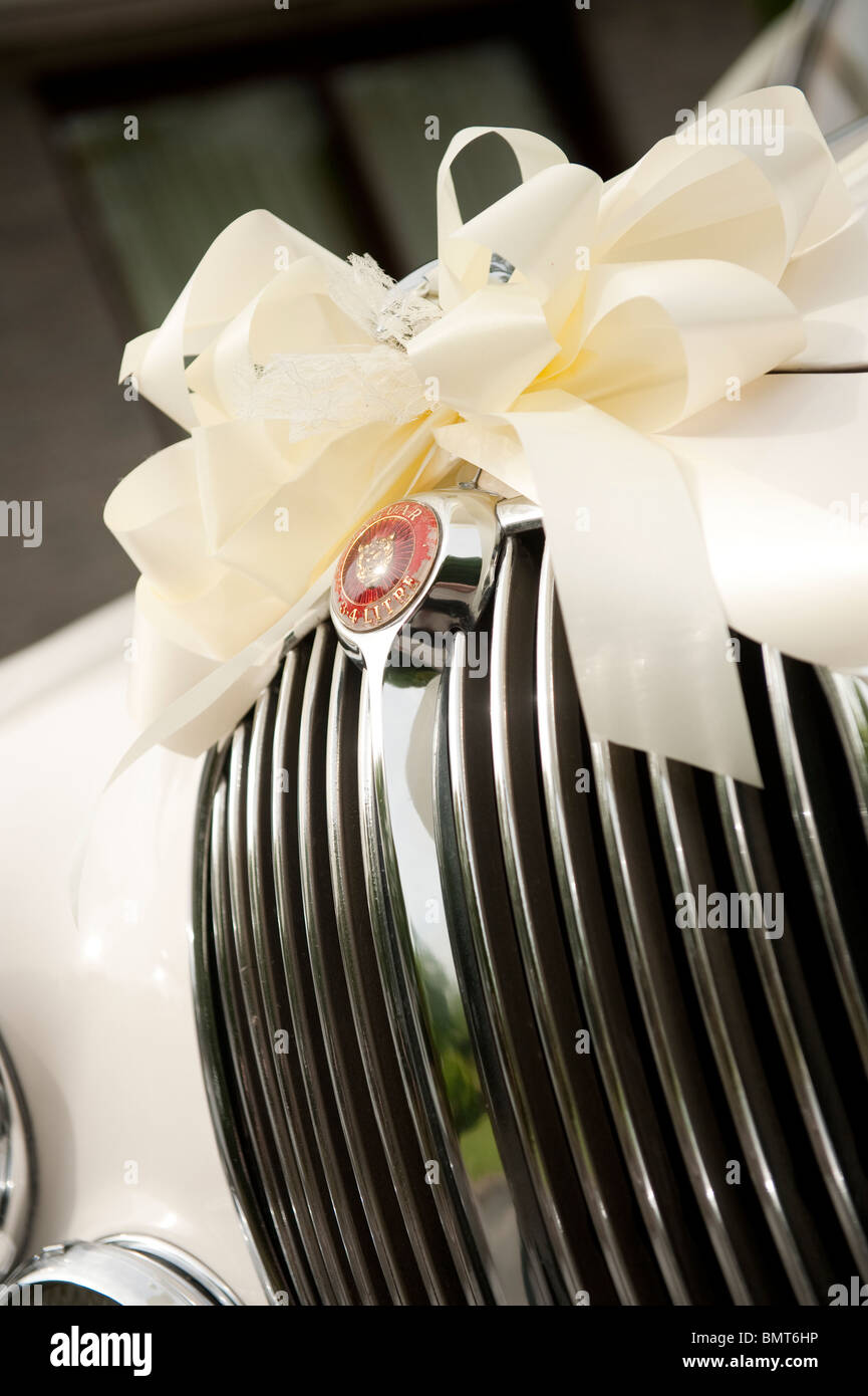 Griglia anteriore di una Classic British 3,8 litro Jaguar auto decorate con nastri di colore bianco su un giorno di nozze REGNO UNITO Foto Stock