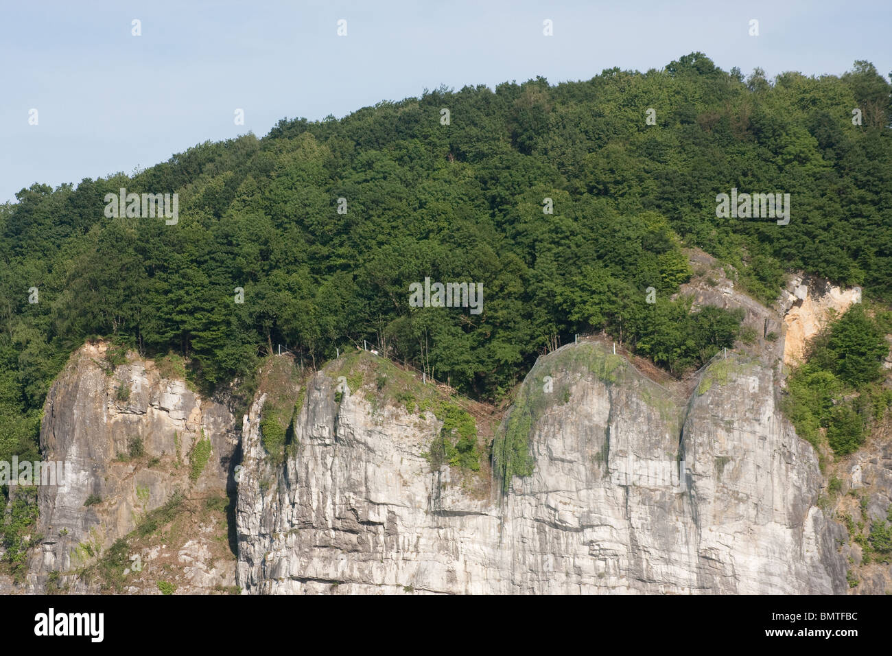Alberi di legno Valle Gesso cliff foresta valle hill Foto Stock