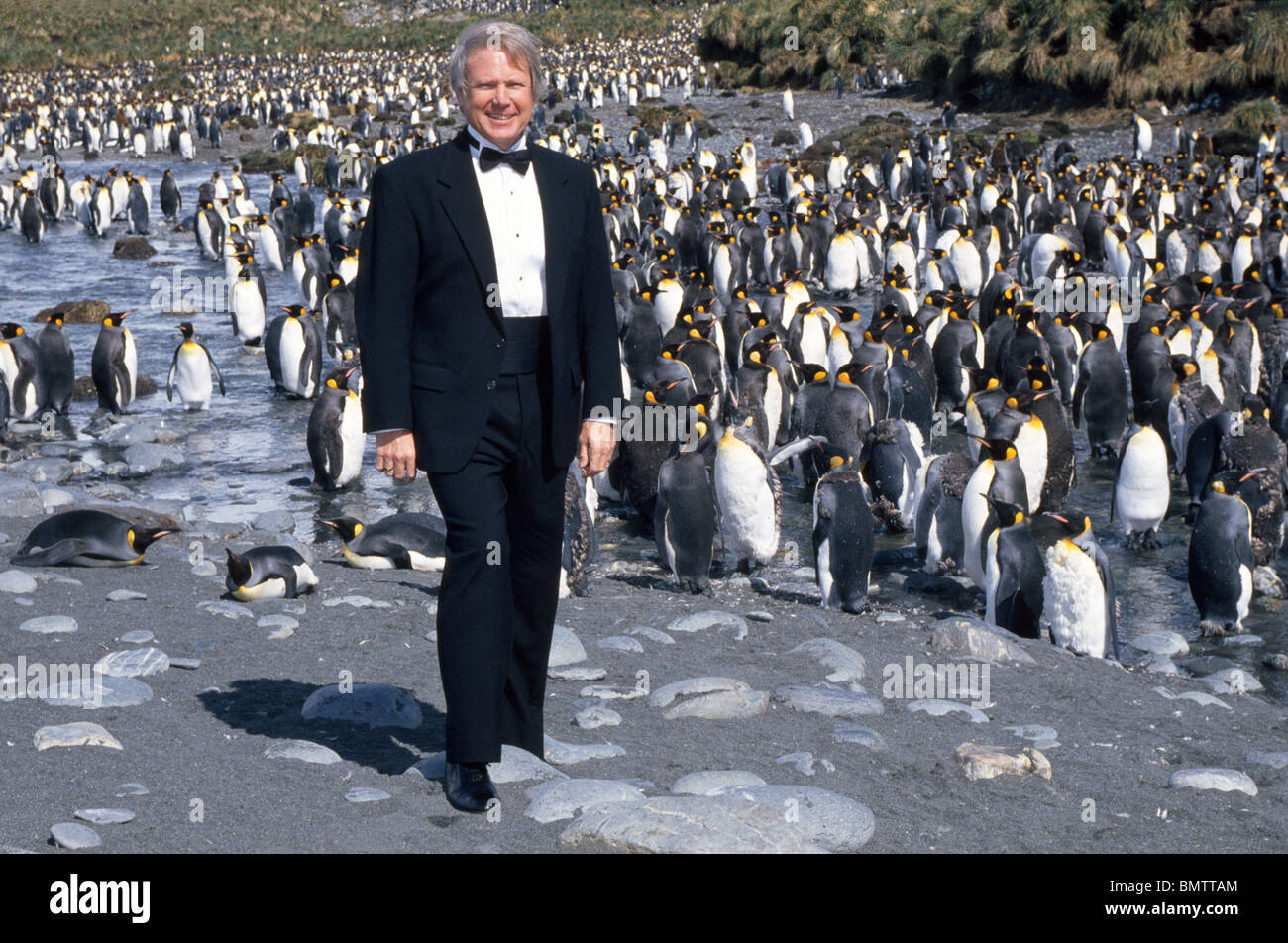 Un visitatore in Antartide vestiti in modo appropriato in uno smoking per visitare il re pinguini a Porto Oro sull Isola Georgia del Sud nel So. Oceano Atlantico. Foto Stock