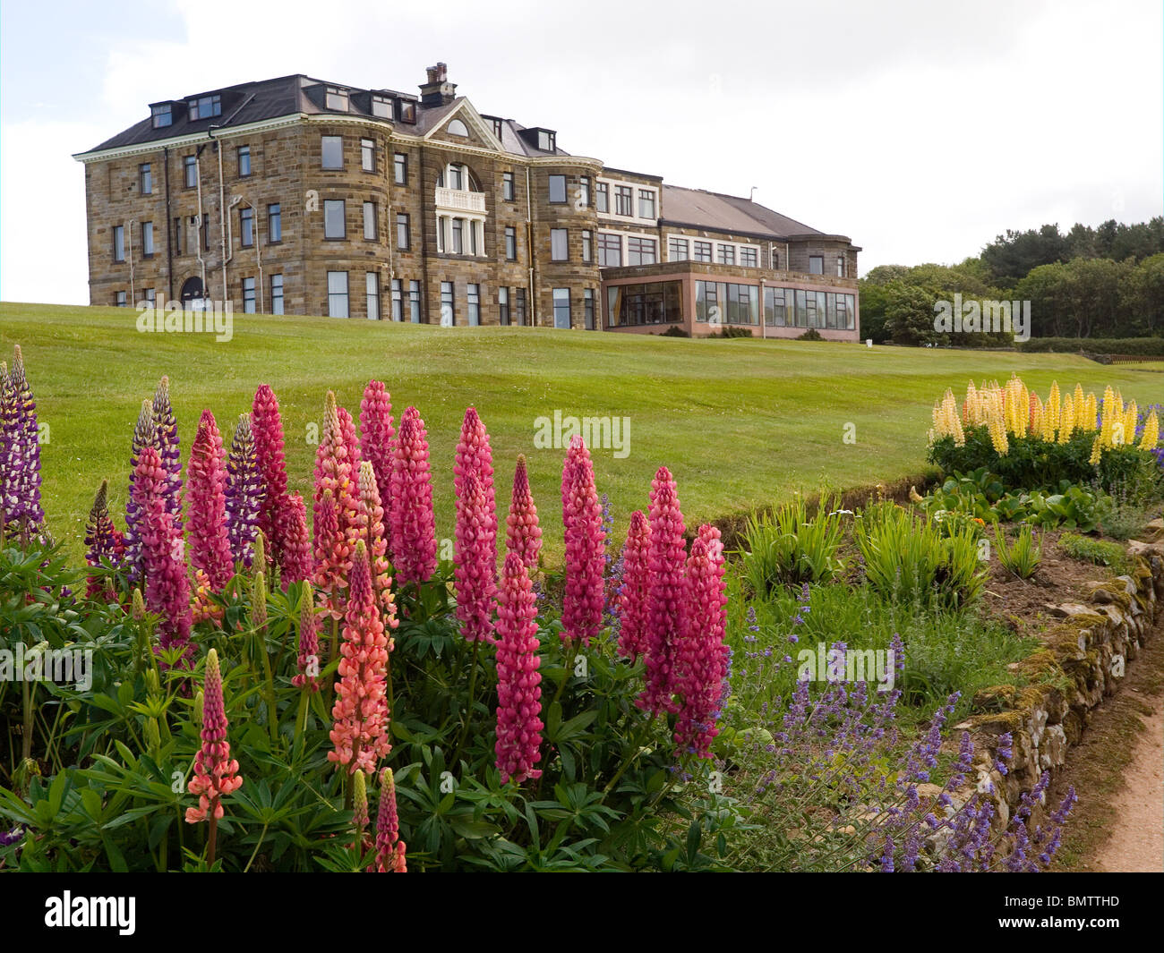 Fiori nel giardino di Raven Hall Hotel su un isolato in cima alla scogliera a Ravenscar North Yorkshire Foto Stock