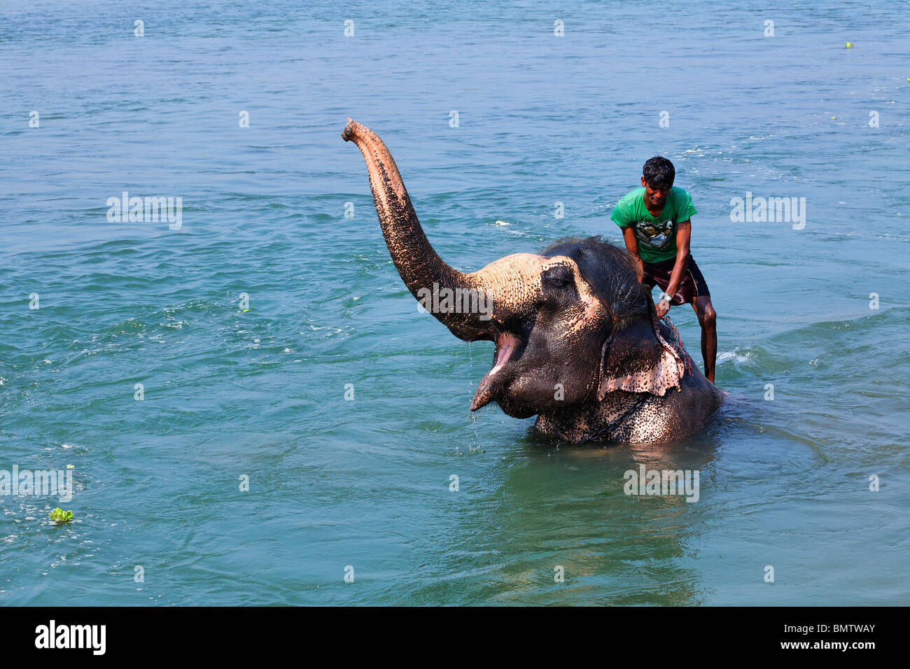 Di elefante con bagno mahout , Rapti River, Chitwan il parco nazionale, il Nepal Foto Stock