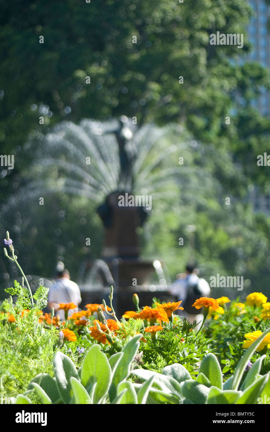 Hyde Park Sydney Foto Stock