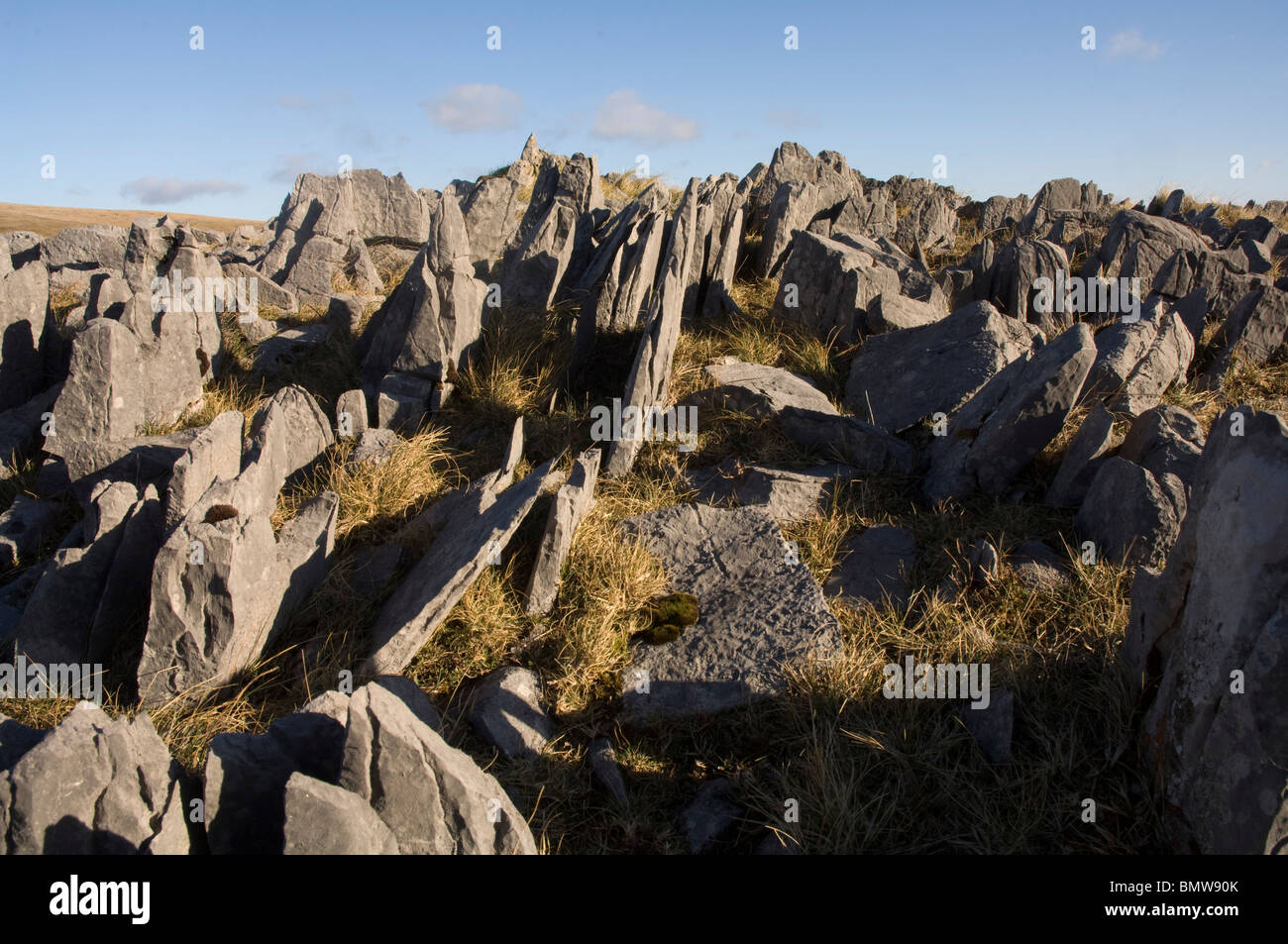 Calcare paesaggio carsico, Mynydd Du, Montagna Nera, Parco Nazionale di Brecon Beacons, Wales, Regno Unito, Europa Foto Stock
