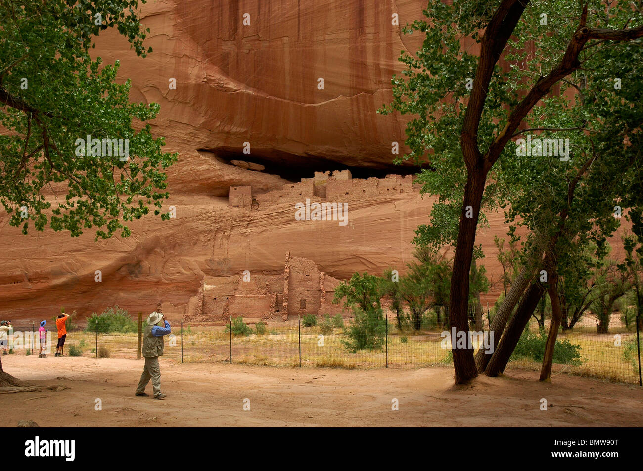 Canyon De Chelly Arizona White House rovina Foto Stock