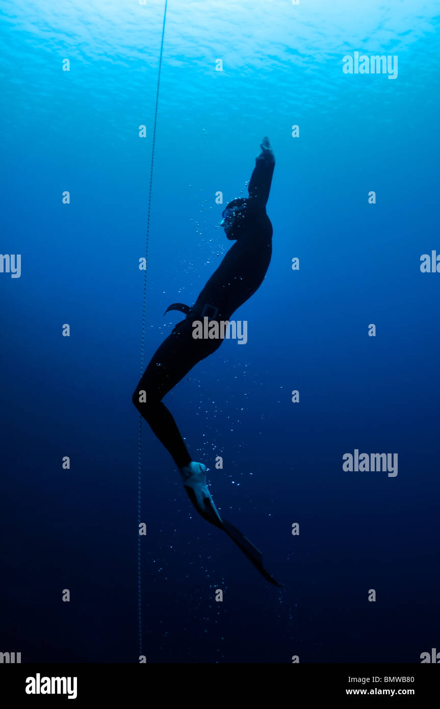 Freediver si sposta fuori della profondità dell'oceano Foto Stock