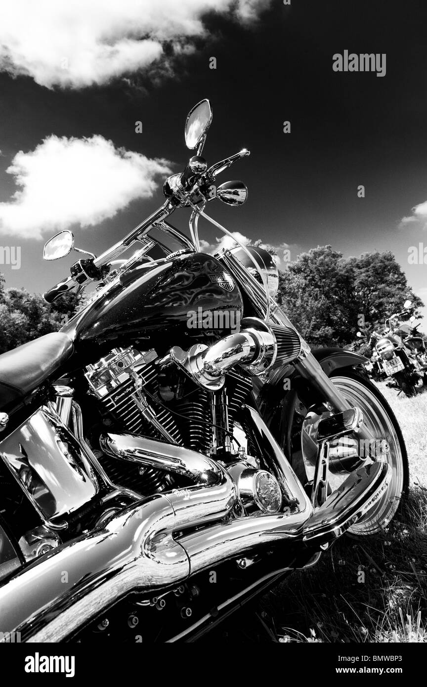 Harley Davidson CVO Fatbob custom motocicletta in corrispondenza di un bike show in Inghilterra. Monocromatico Foto Stock