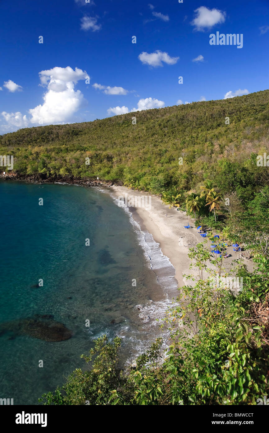 Caraibi, St Lucia, Anse Cochon Beach Foto Stock