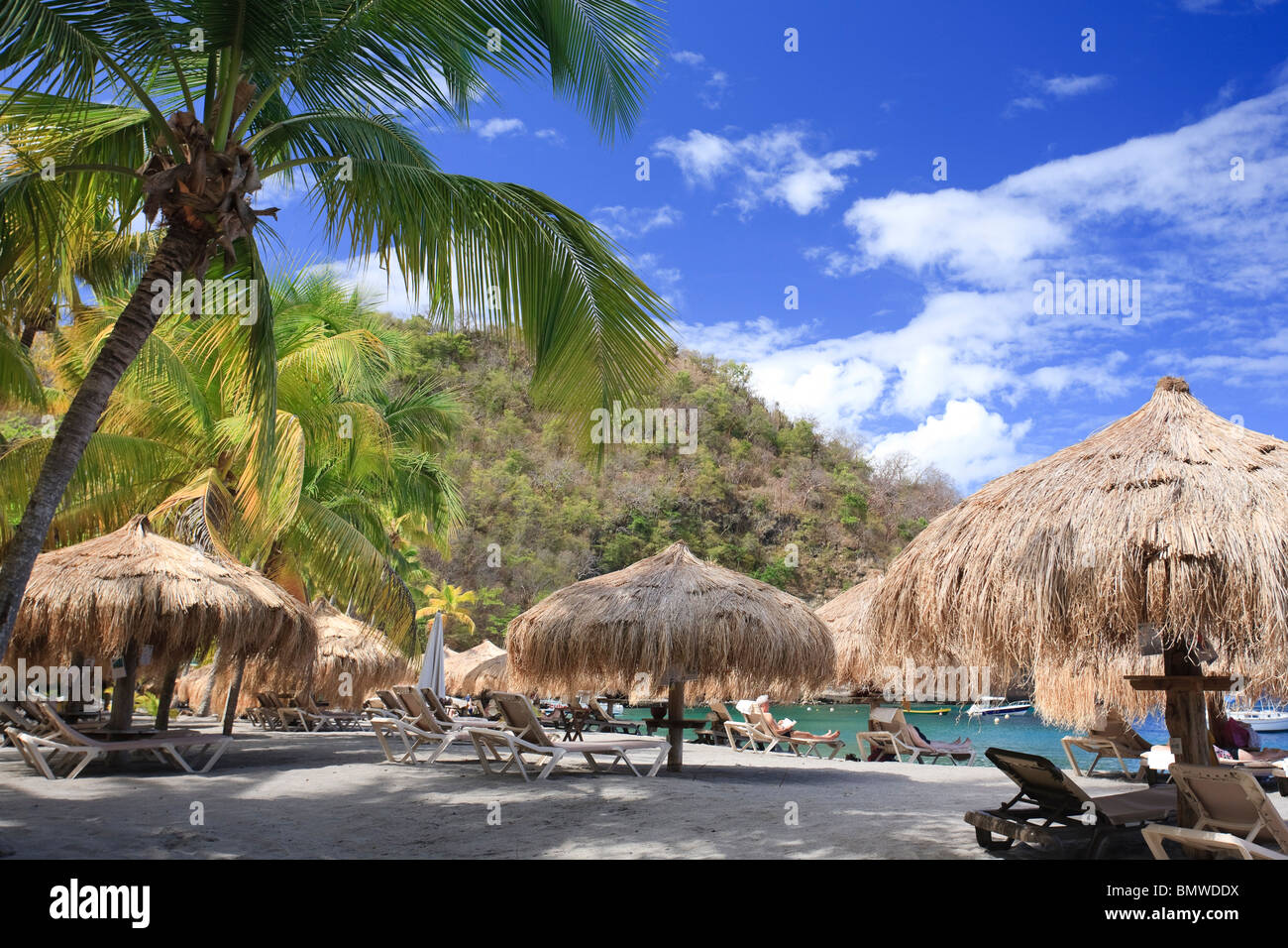 Caraibi, St Lucia, Anse Chastanet Beach Foto Stock