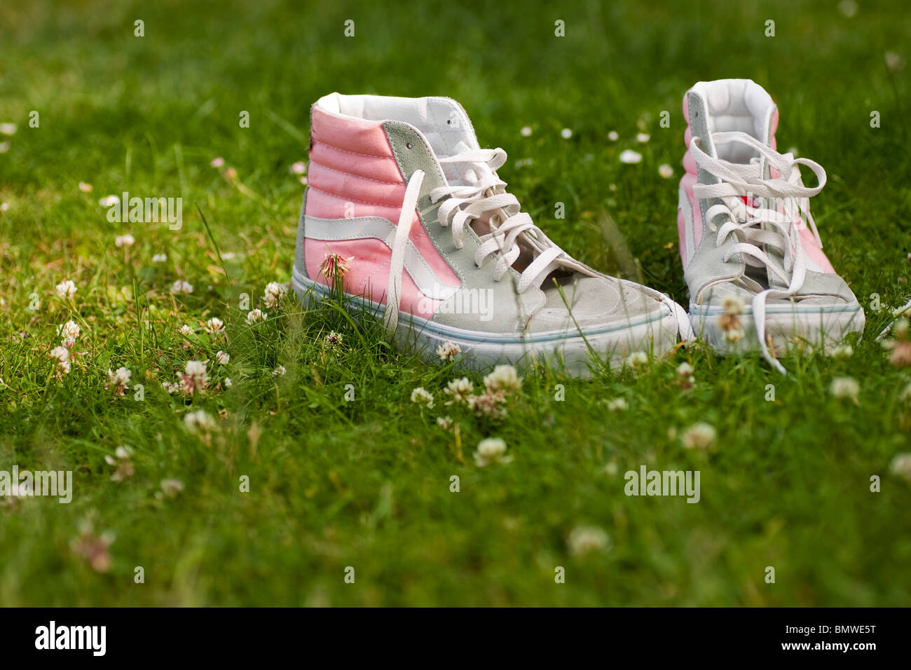 Una bella nuova coppia di stile retrò rosa e grigio dei formatori. Foto Stock