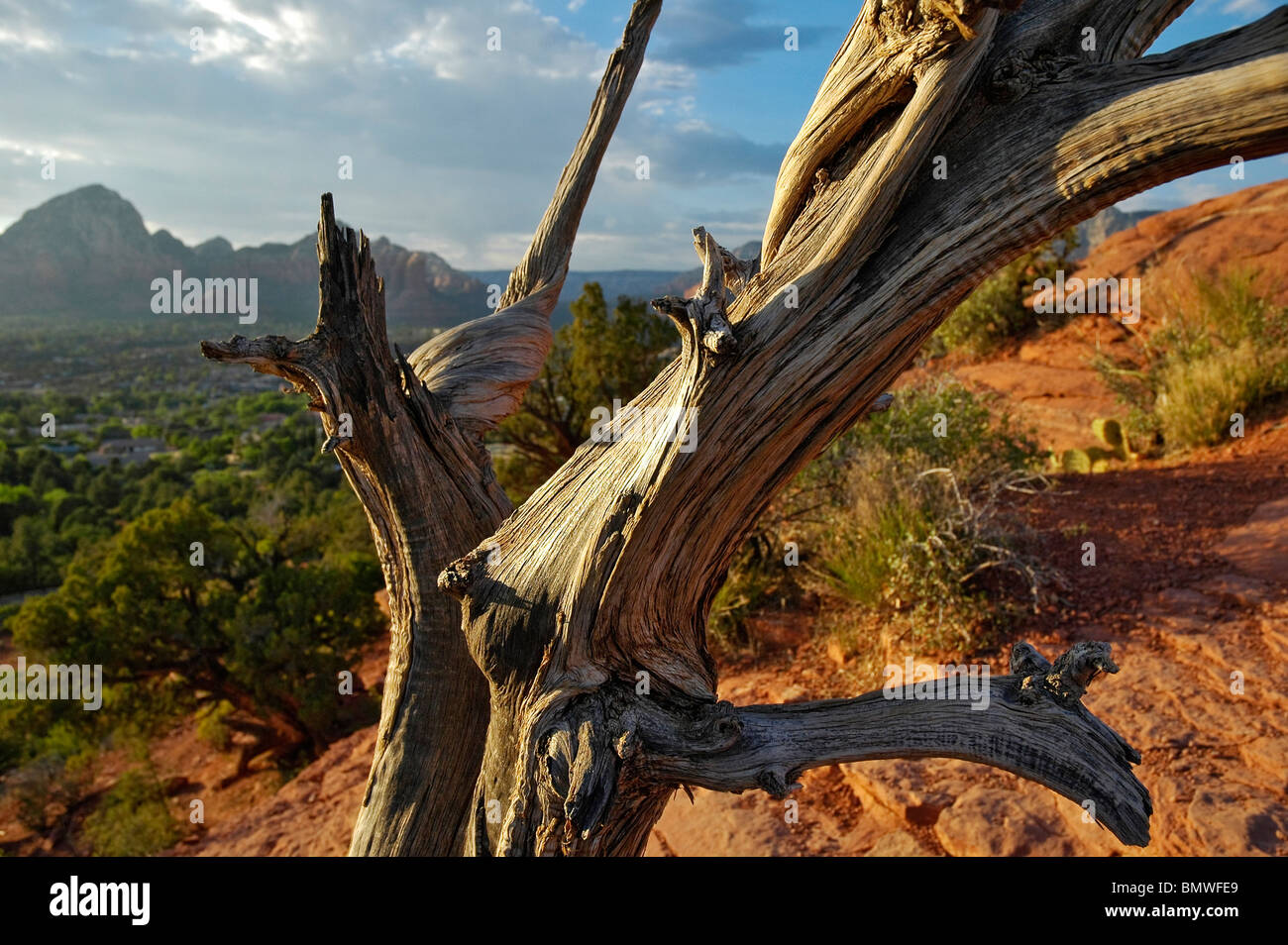 Tramonto a Sedona, AZ., dalla cima di Aeroporto Mesa Vortex. Foto Stock