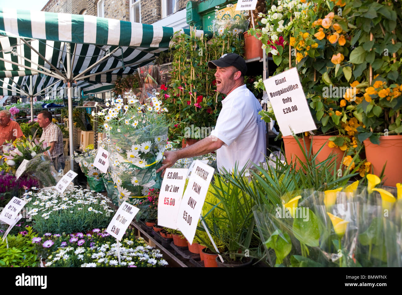 Columbia Road Flower Market, London, Regno Unito Foto Stock