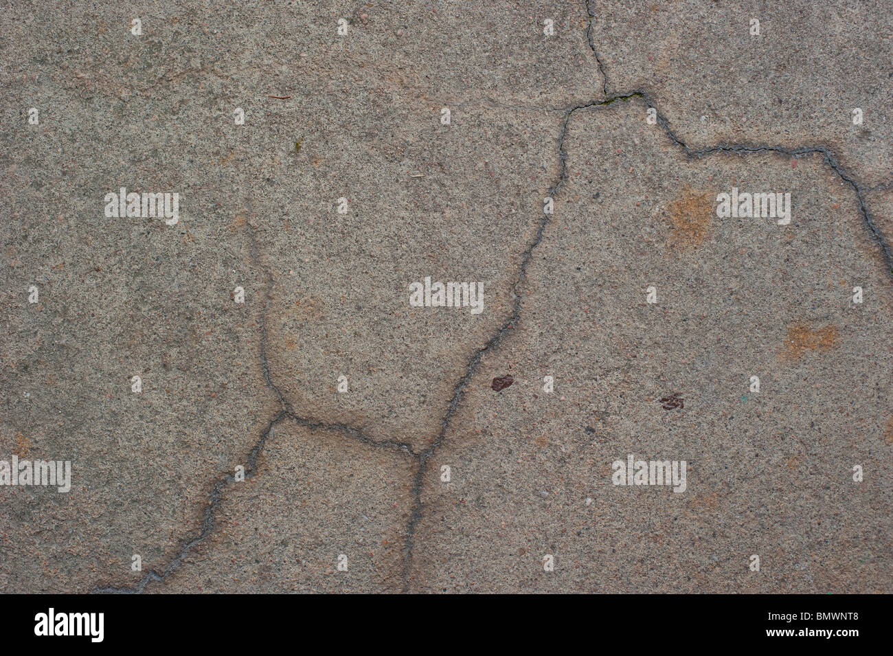 Close-up di fessurazioni nella pavimentazione Foto Stock