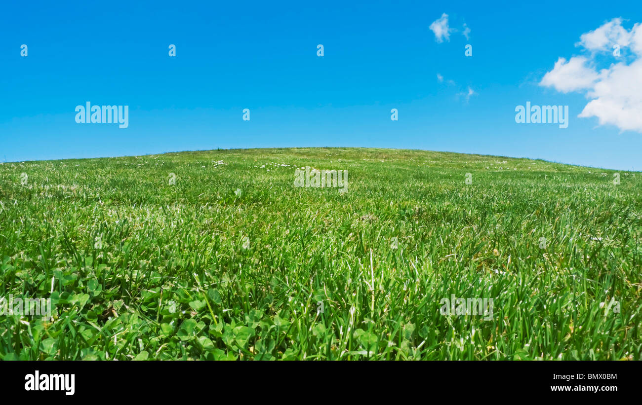 Appena falciato hill top Foto Stock