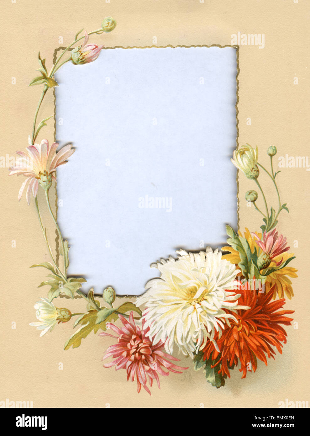 Cornice decorativa - crisantemi Foto Stock