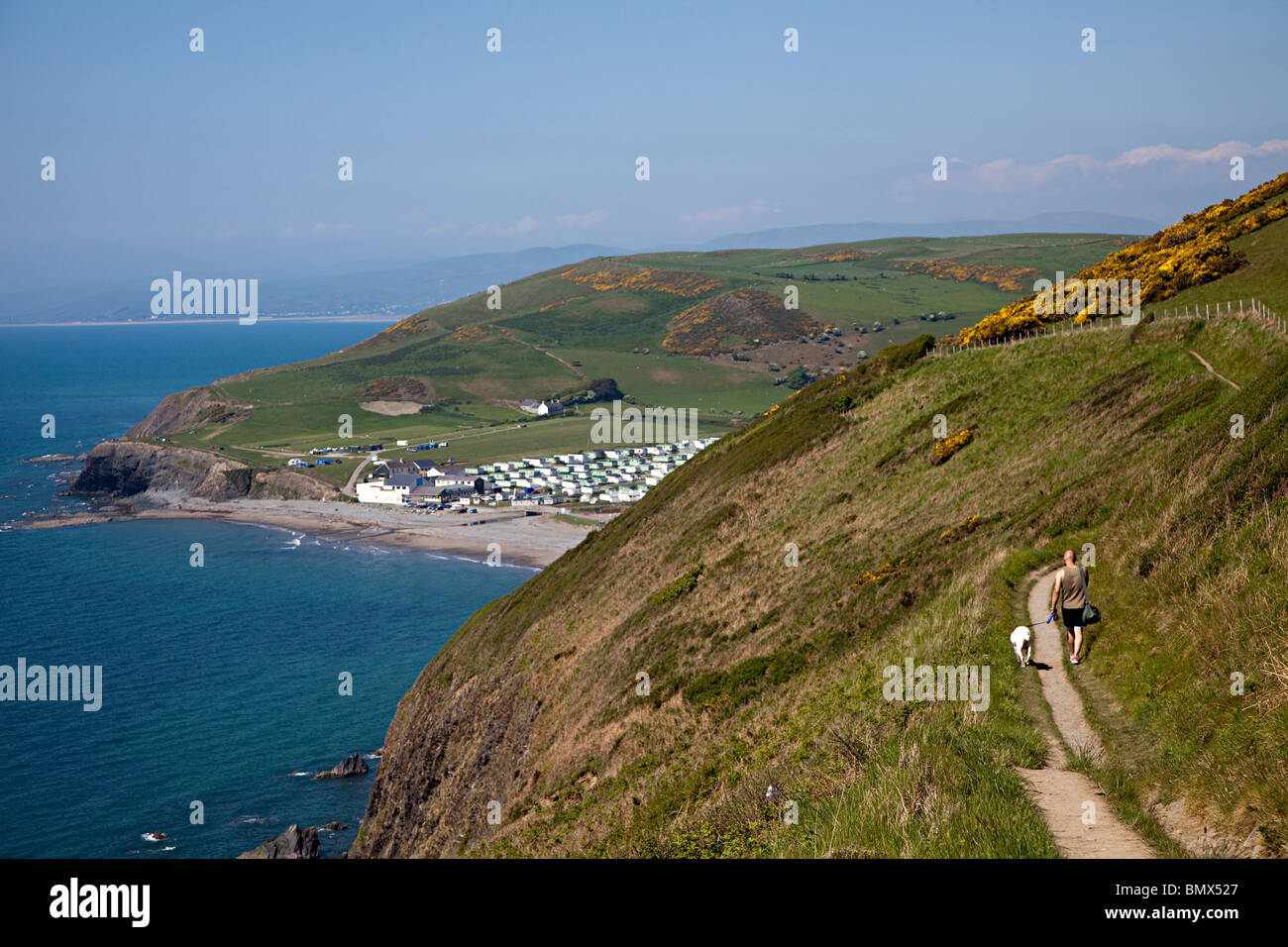 Uomo che cammina cane sul sentiero costiero sulle scogliere con caravan park vacanze in distanza Aberystwyth Wales UK Foto Stock