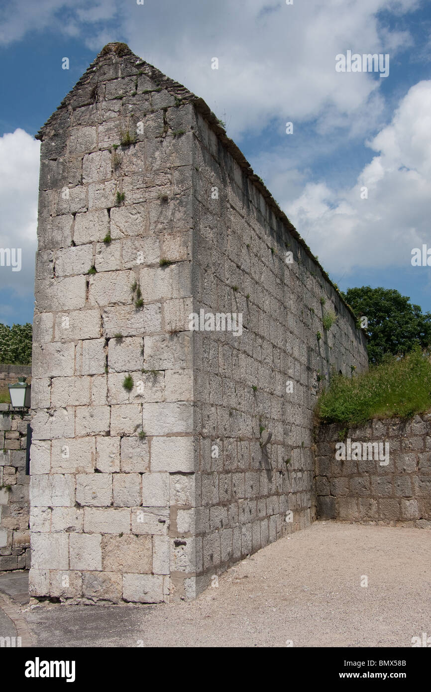 Castello Citadel chateau spalti della fortezza in pietra Foto Stock