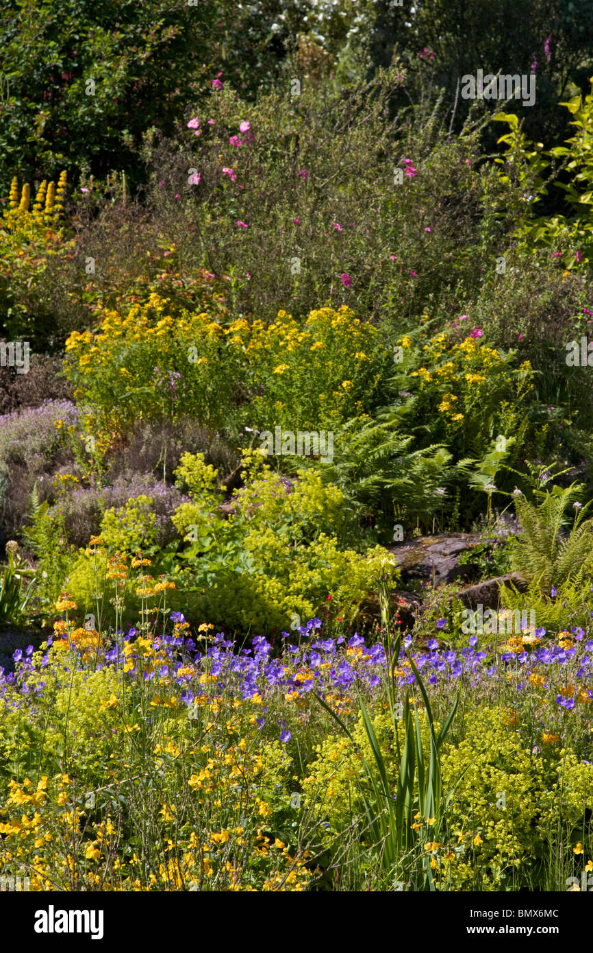 Area paesaggistici di Ness Giardini Botanici Foto Stock