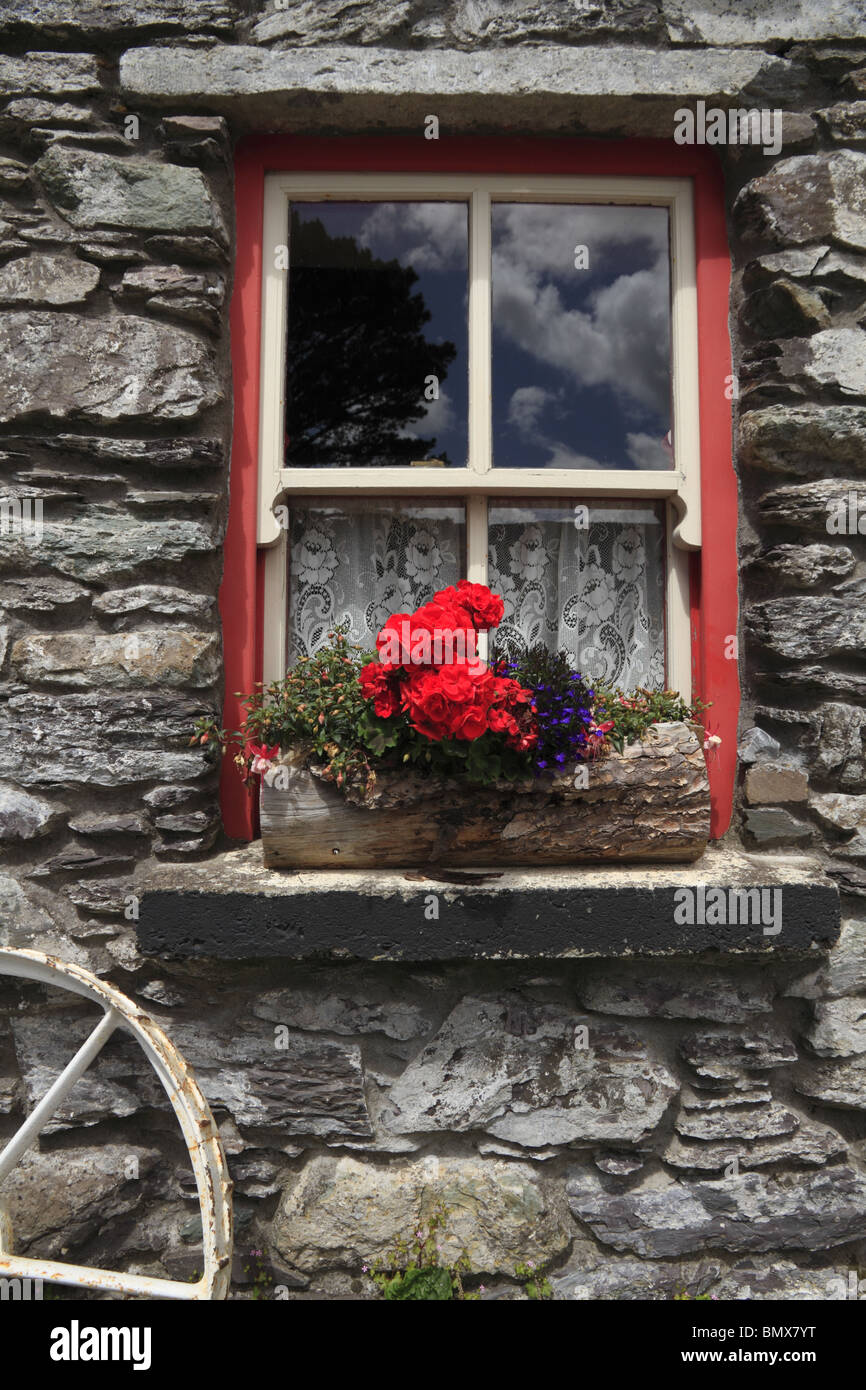 I fiori sbocciano in estate il sole sul davanzale della finestra di una vecchia fattoria irlandese cottage, Co Kerry, Repubblica di Irlanda. Foto Stock
