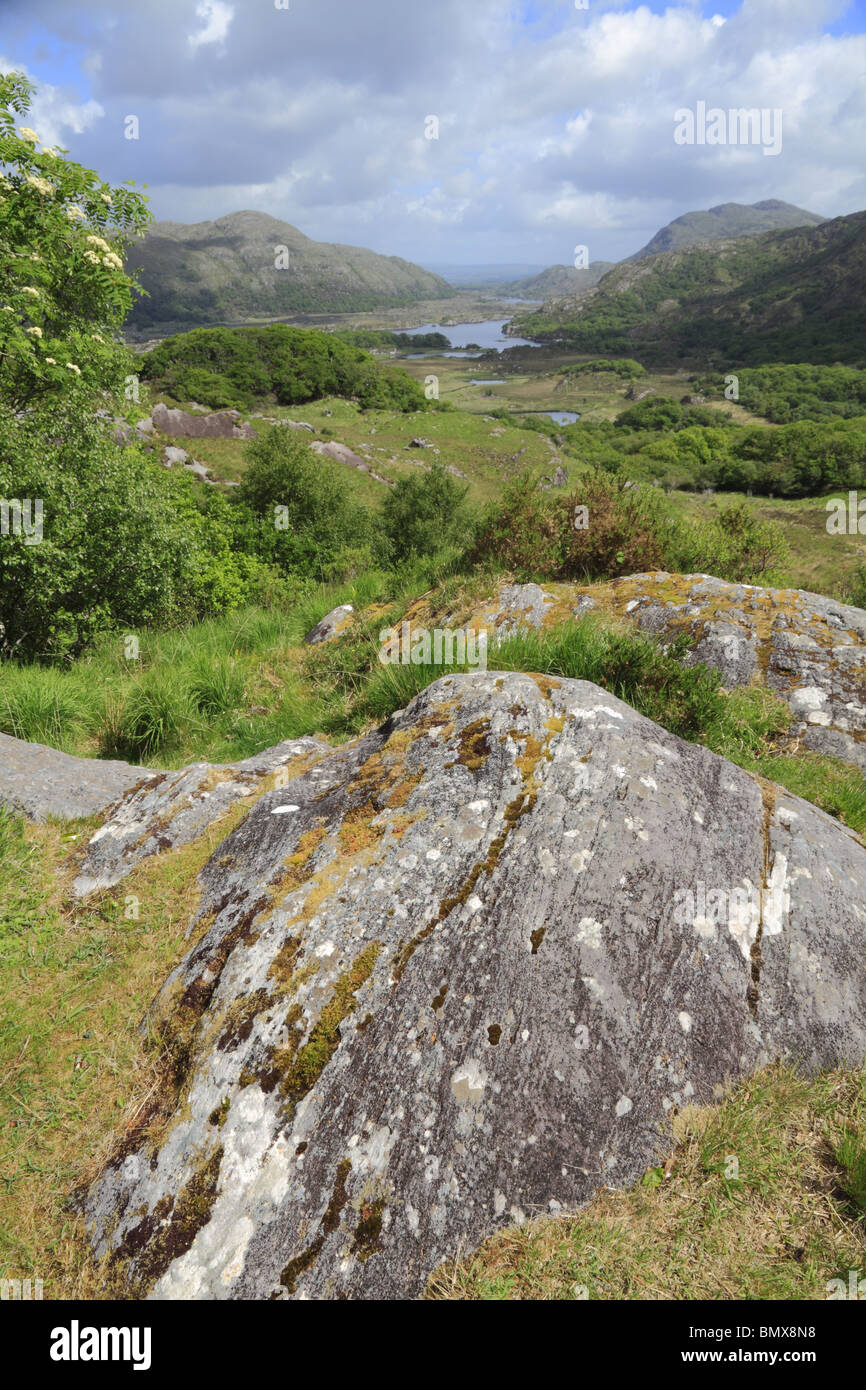 "Ladies View' nel Parco Nazionale di Killarney, Co Kerry, Repubblica di Irlanda. Foto Stock