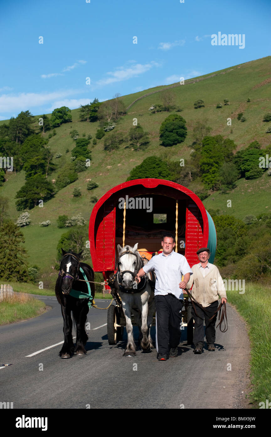 Cavallo Gypsy Caravan sulla strada a Appleby Fair, vicino Ravenstonedale, Cumbria Foto Stock