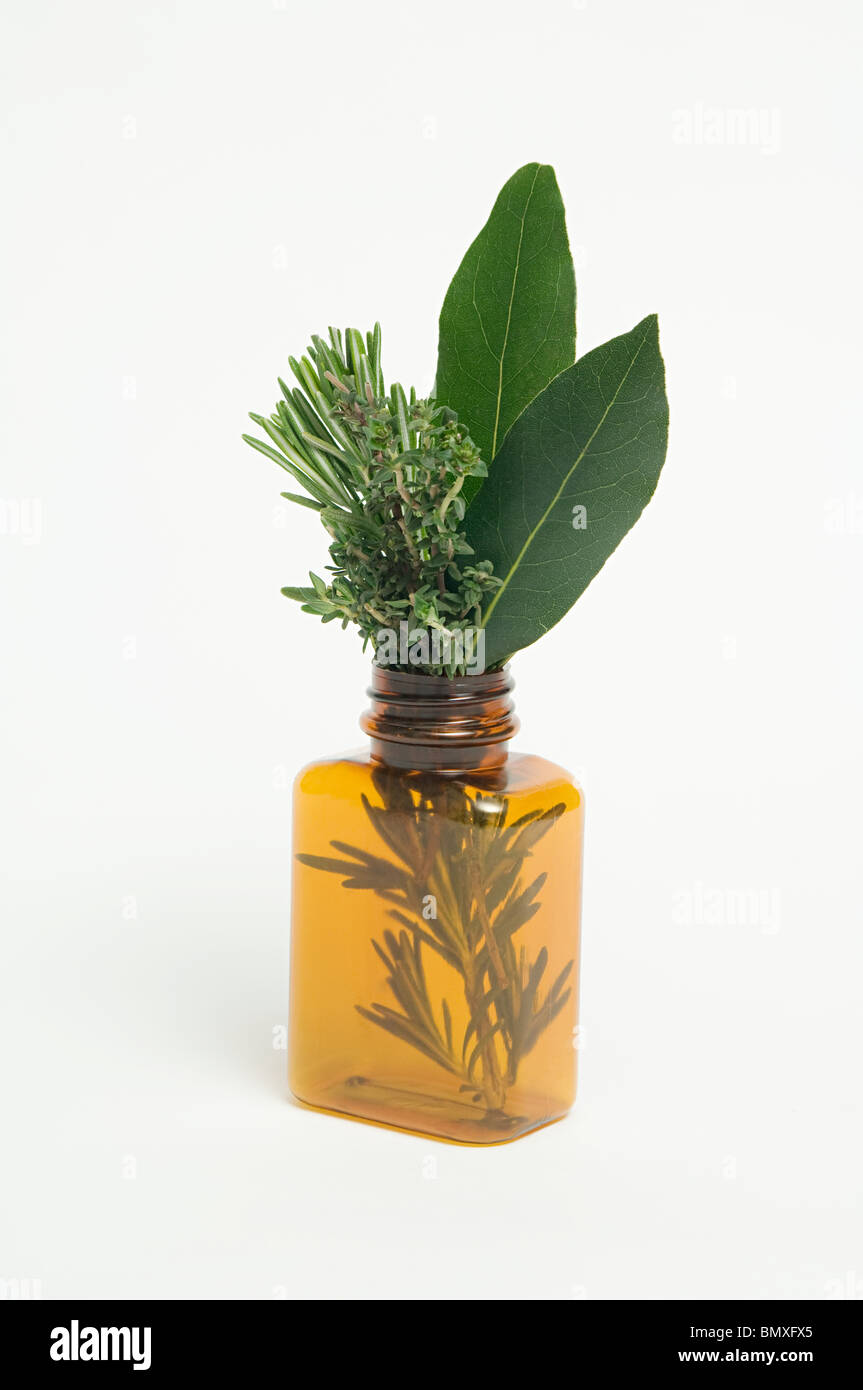Le erbe in un flacone di farmaco Foto Stock
