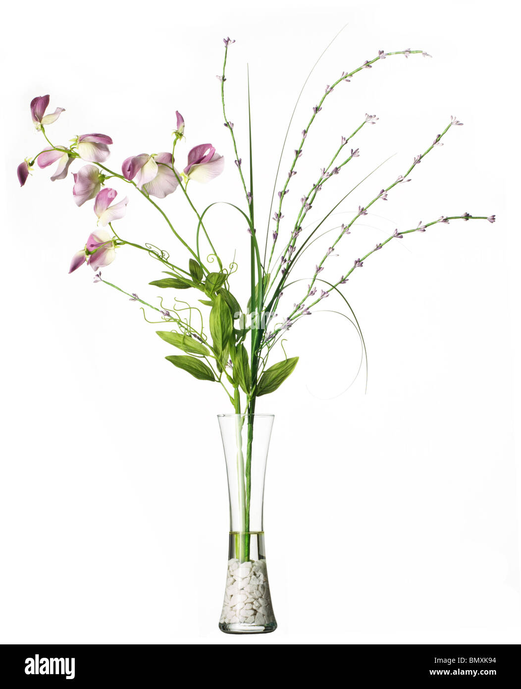 Orchidee di seta Foto Stock